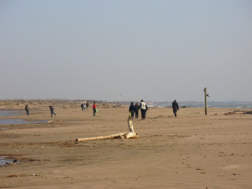 photo6